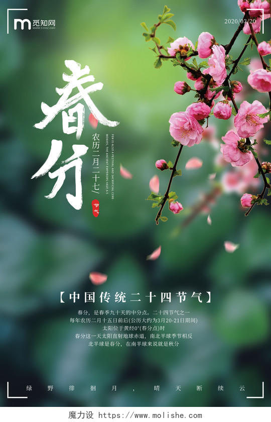 2020年绿色背景小清新桃花创意传统二十四节气之春分宣传海报